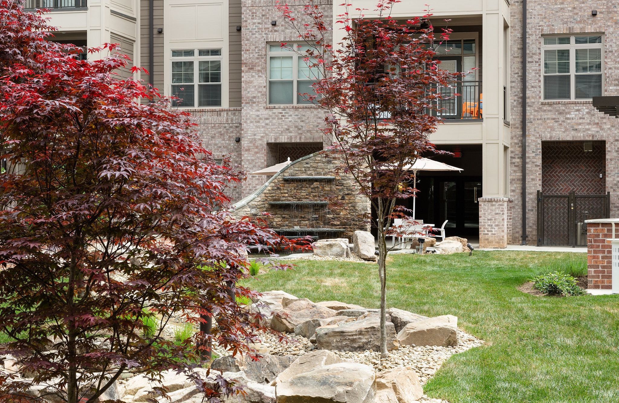 native trees planted in the courtyard outside of Providence Row Apartments