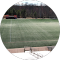 google profile photo
